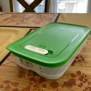 Tupperware venting veggie and fruit container.  Great used condition.